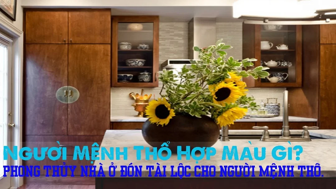 Video hướng dẫn phong thủy nhà ở theo mệnh và hướng nhà