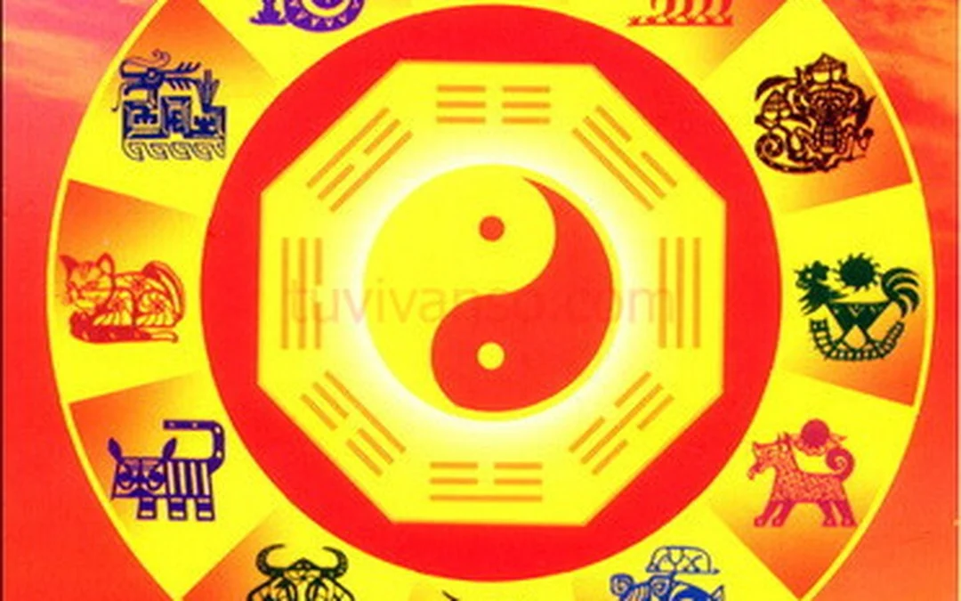 xem phong thủy làm ăn cho cửa hàng trước ngày khai trương