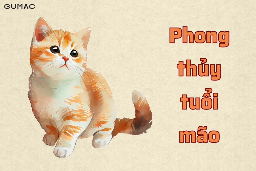 xem phong thủy tuổi tránh sai lầm khi bố trí nhà ở