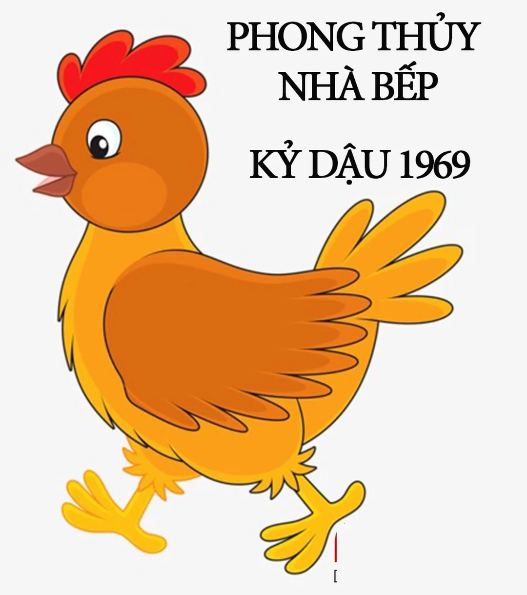 phong thủy nhà bếp theo tuổi cho gia chủ tuổi Kỷ Dậu