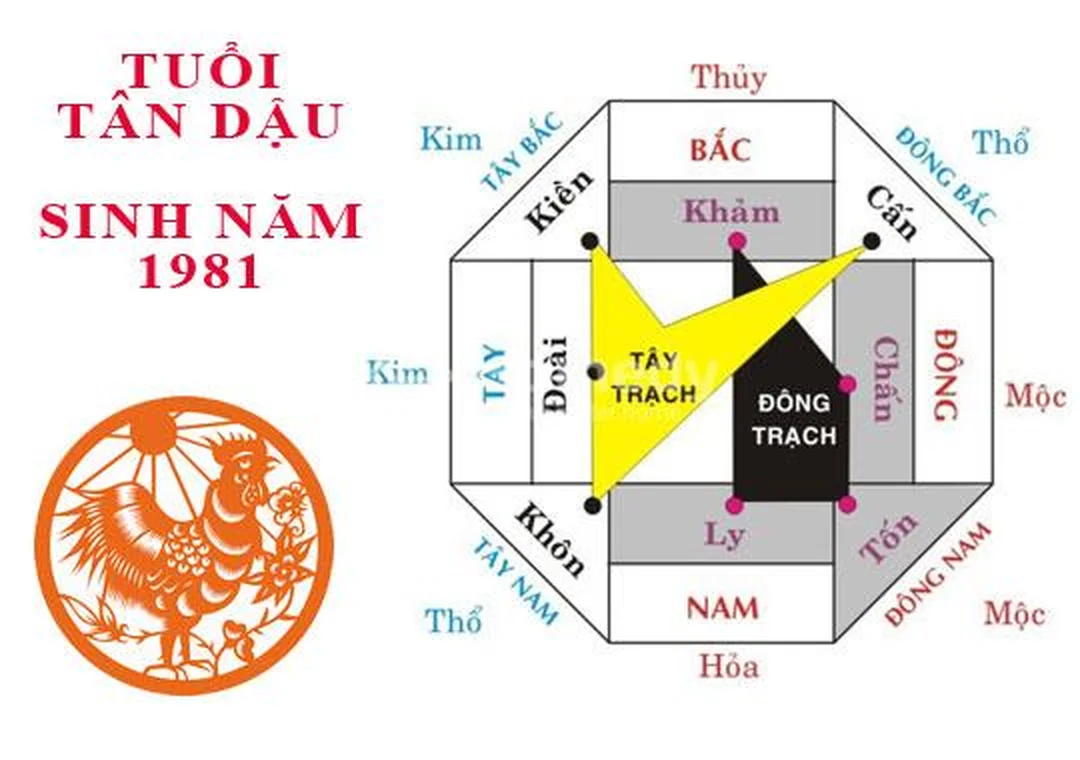 phong thủy nhà bếp theo tuổi dành cho gia chủ sinh năm 1981